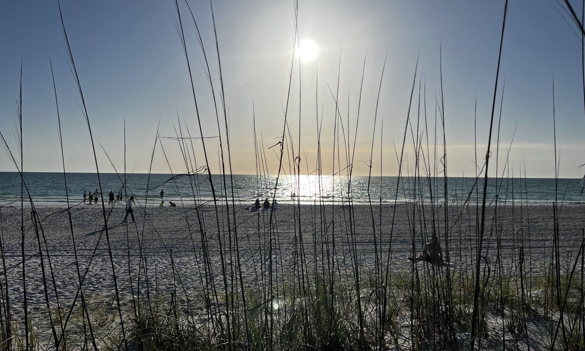 Bradenton Condo | 1 Bedroom Private Bath