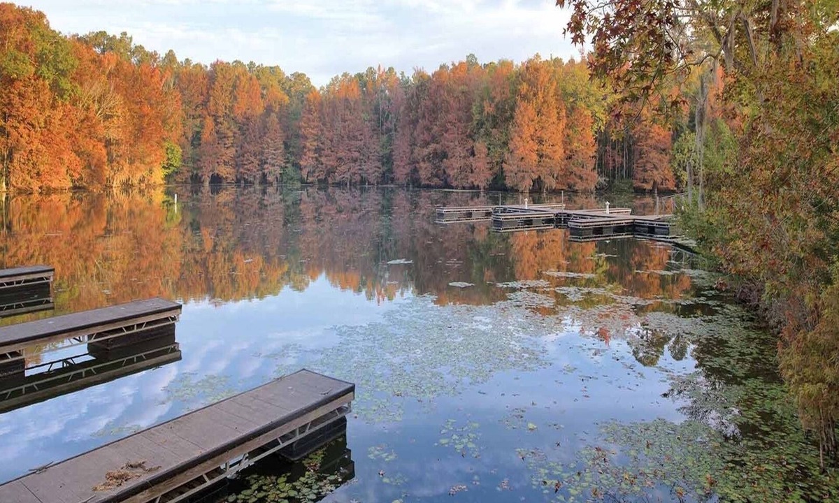 Santee Condo | 2br Deluxe Unit Tranquil Shores of Lake Marion