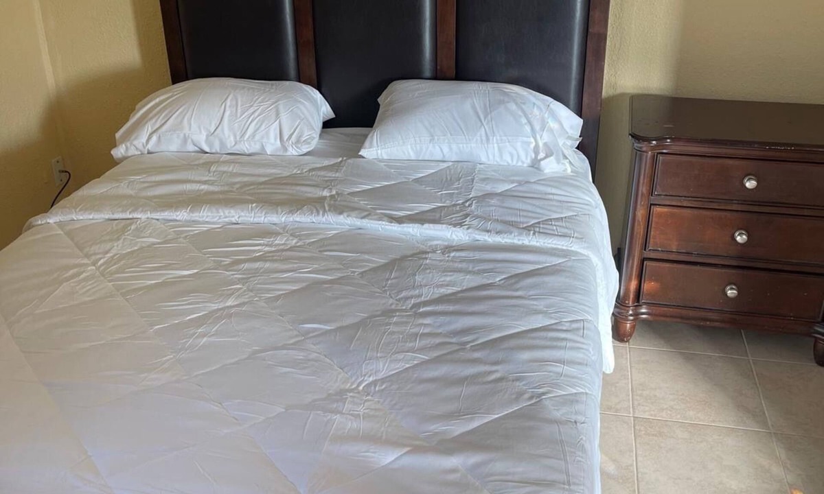 Pine Hills House | 3-bedroom house in charming Daytona Beach with pool and fast WiFi. Book now