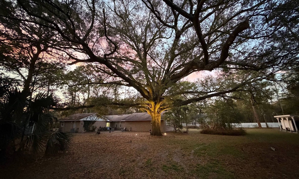 Arlington House | Alderman Acres - 4 Bedroom with a Game Room!