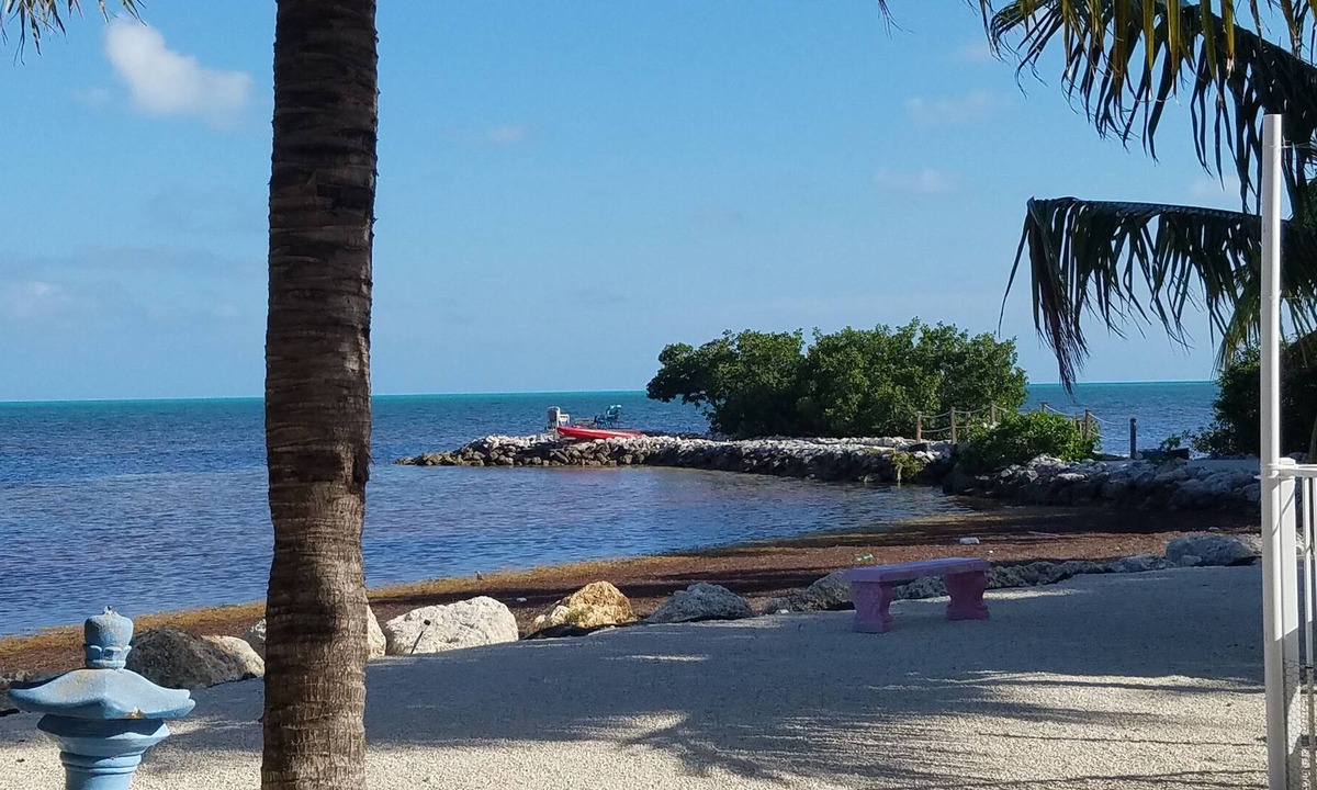 Marathon House | Beautiful Bold Oceanfront Location --- Wonderful views and great privacy !