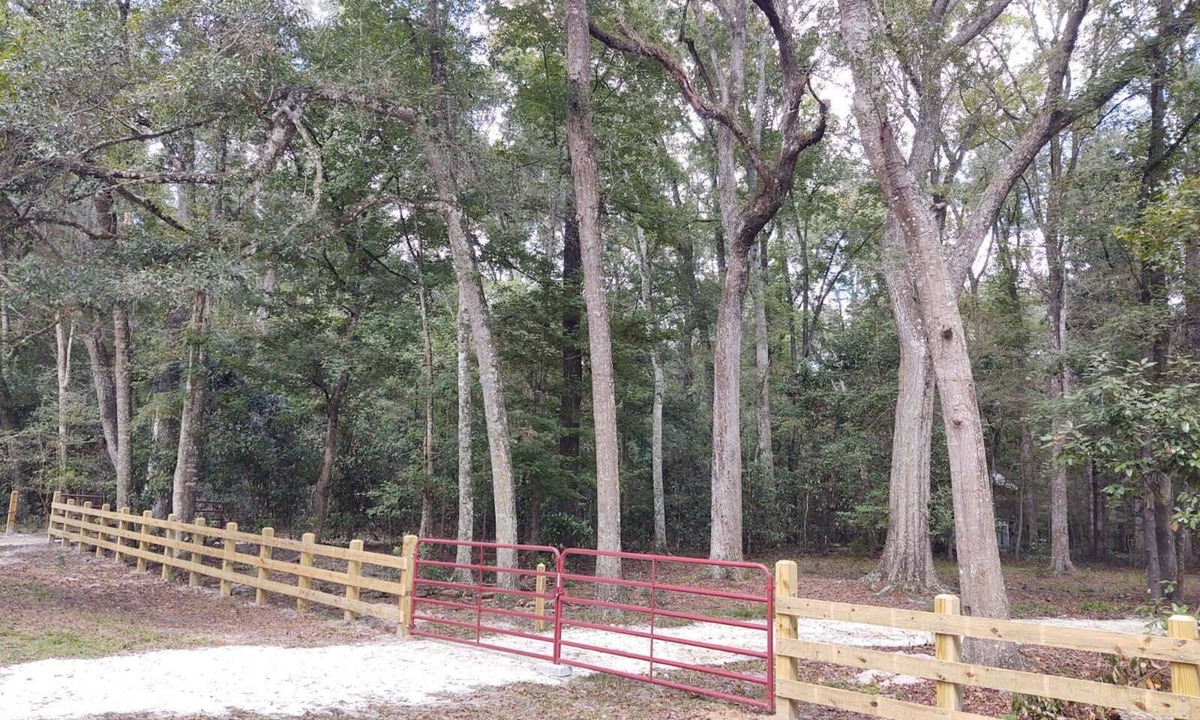 Branford RV Rental | Beautiful, wooded campsite in Branford, FL perfect for outdoor adventures