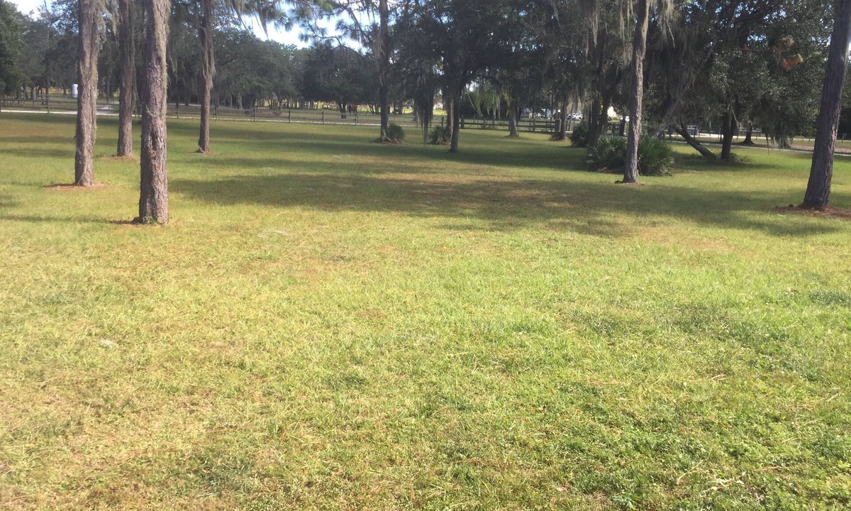 Braden River House | Country Home Horse Lovers Paradise