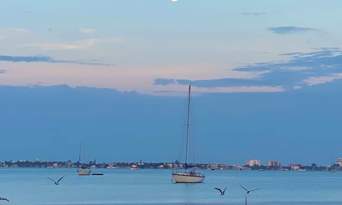 Bayview Condo | Cozy 2 bedroom condo steps away from the bay & a quick drive to St. Pete Beach.