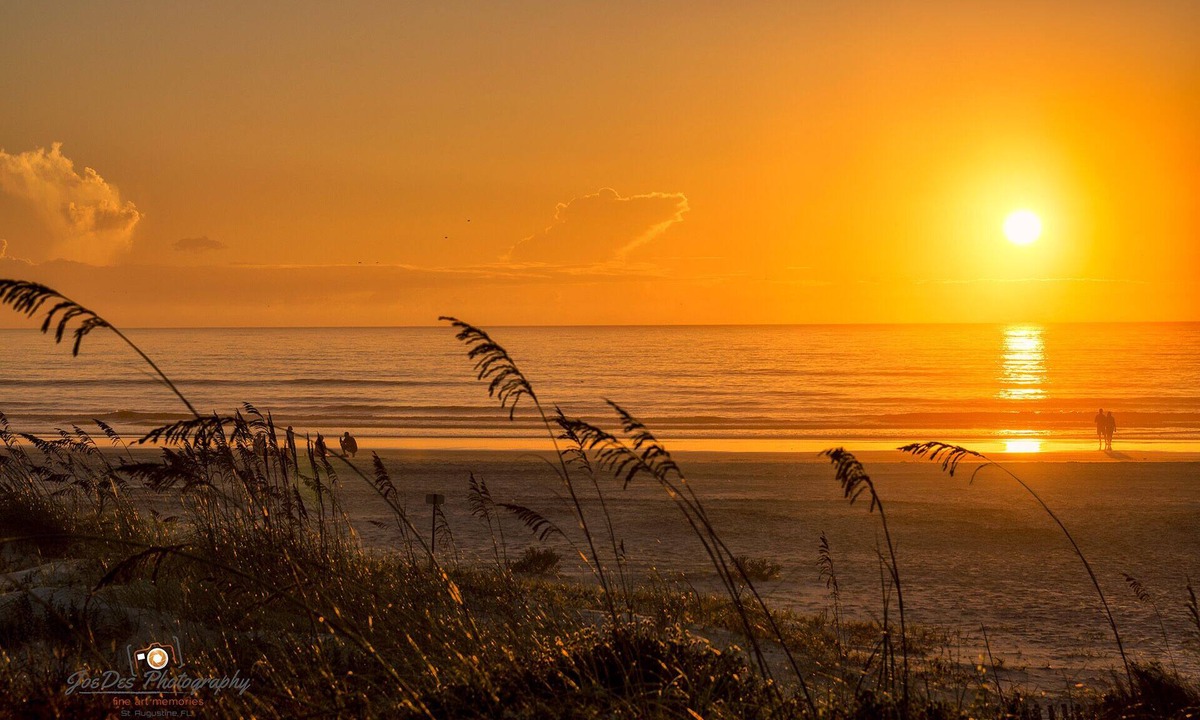 Butler Beach House | Dog Friendly Oceanside Beach Retreat St Augustine Beach! Close to Downtown!