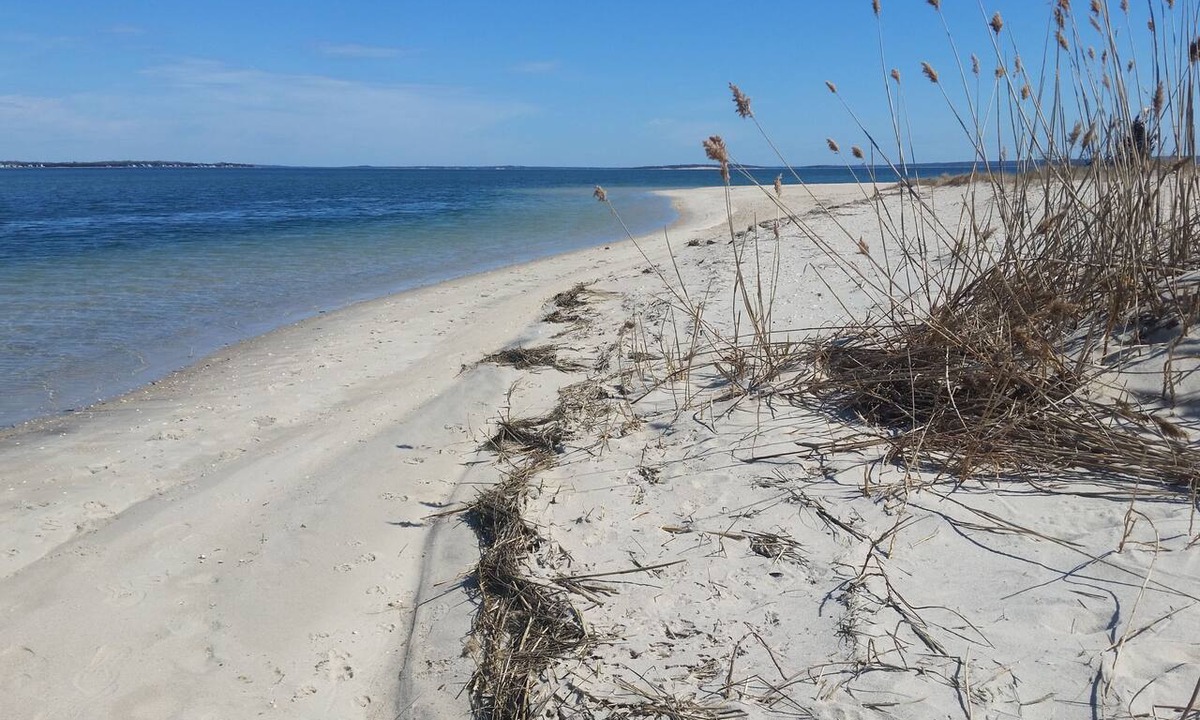 Cutchogue Apartment | Enjoy a relaxing getaway to the North Fork - Tranquil 1-bedroom apartment