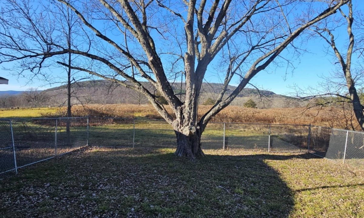 Schoharie Cottage | Fenced dog yard, creek fishing access, privacy and stunning sunset views!