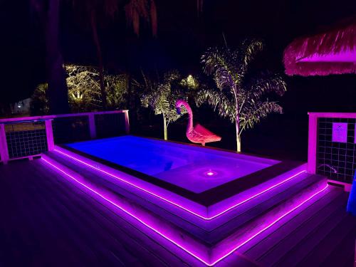 Homosassa House | Flirty Flamingo saltwater pool Kayaks Sleeps 8 Old Homasassa fenced yard 1 Dog OK