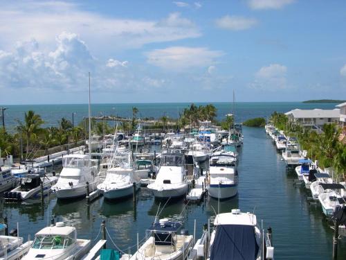 Key Largo Apartment | FULL TIME LIC MGR - MODERN OCEANFRONT CONDO! BEAUTIFUL OCEAN VIEWS! BEACH RESORT! 2 KING BEDs!