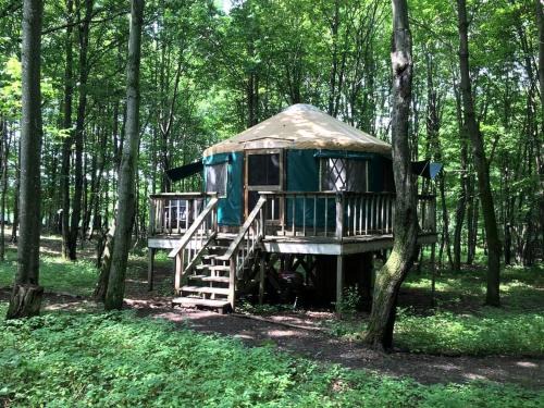 East Meredith House | Incredible Equipped Yurt Amazing for a Glamping Experience in East Meredith, New York
