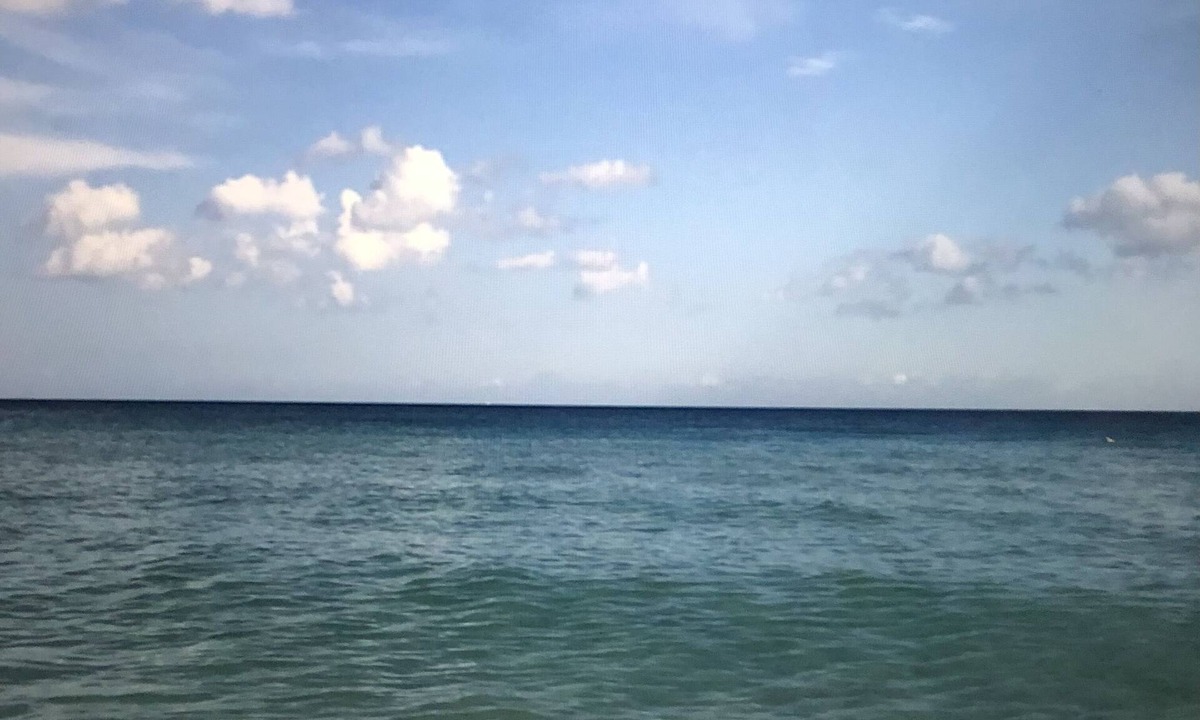 Venice Condo | Island condo in Paradise!
