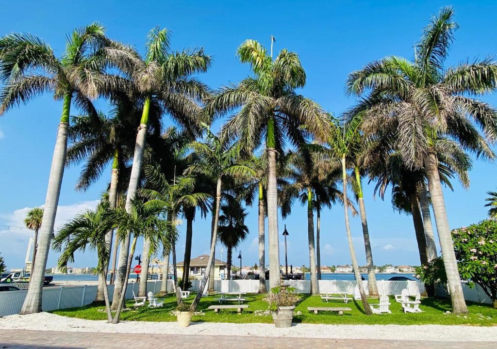 Pass-a-Grille Historic District Apartment | La Tortuga Historic Pass A Grille St Pete Beach 4