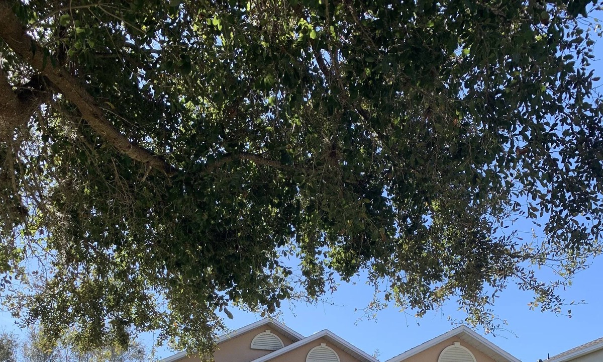 Orlando House | Lake Nona Home Near Medical City