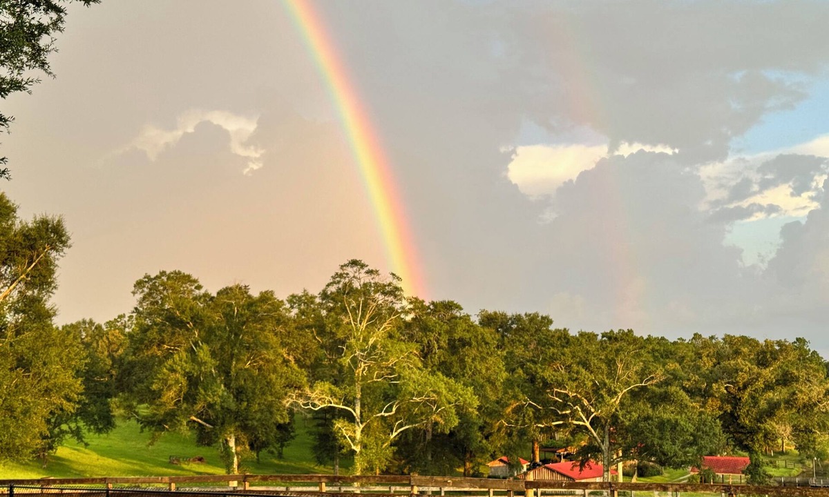 Lucedale Cabin | Lakefront country cabin near Lucedale , MS