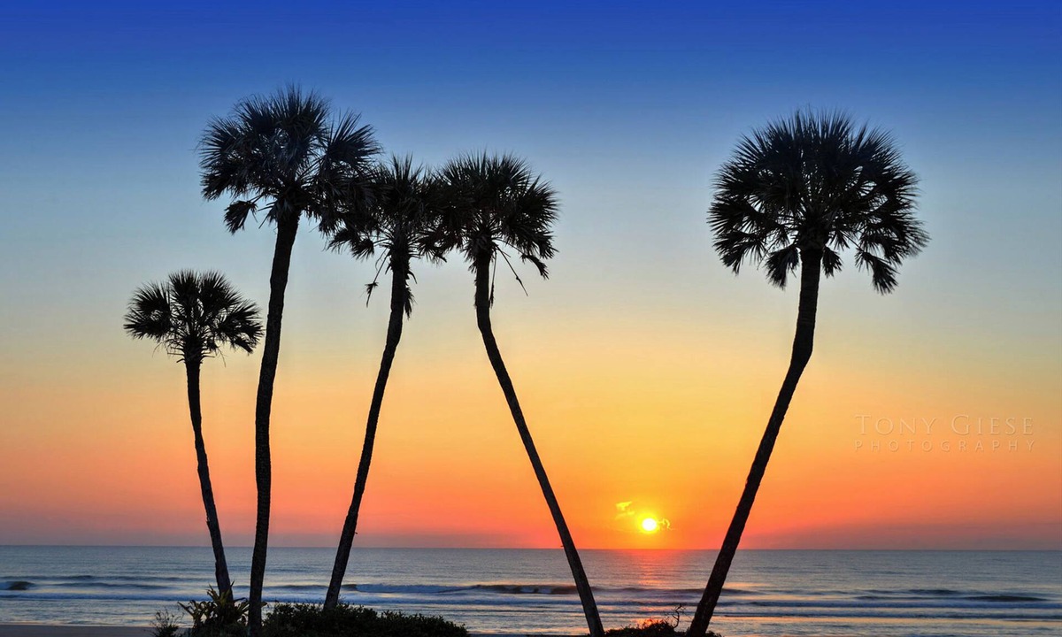 Daytona Beach House | Ocean Walk Resort 2/2 Bedroom LO