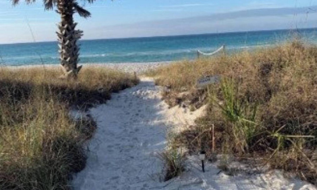 Bahama Beach House | Oceanfront! Inquire about reduced rate for beachside only.