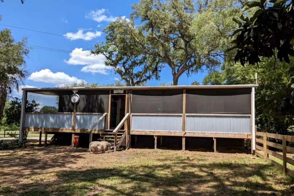 Putnam Hall House | Peaceful Animal Sanctuary Farm Stay on Rescue Farm Near Gainesville & Jacksonville in Melrose, Florida