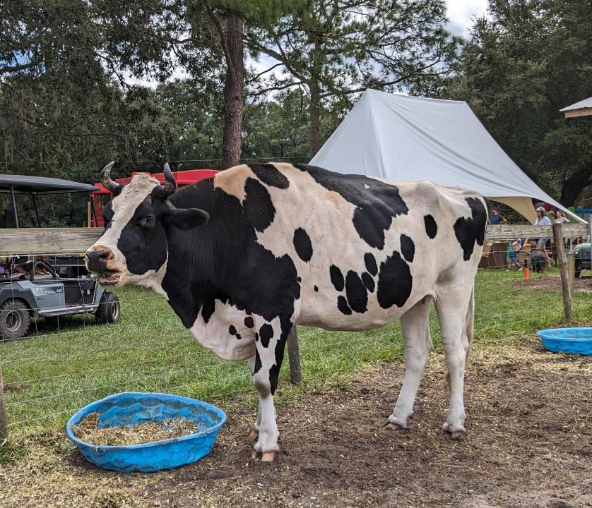 Putnam Hall House | Rooterville Animal Sanctuary