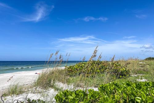 Longboat Key Apartment | Sandy Toes and Sunny Nose Open Tuesday!