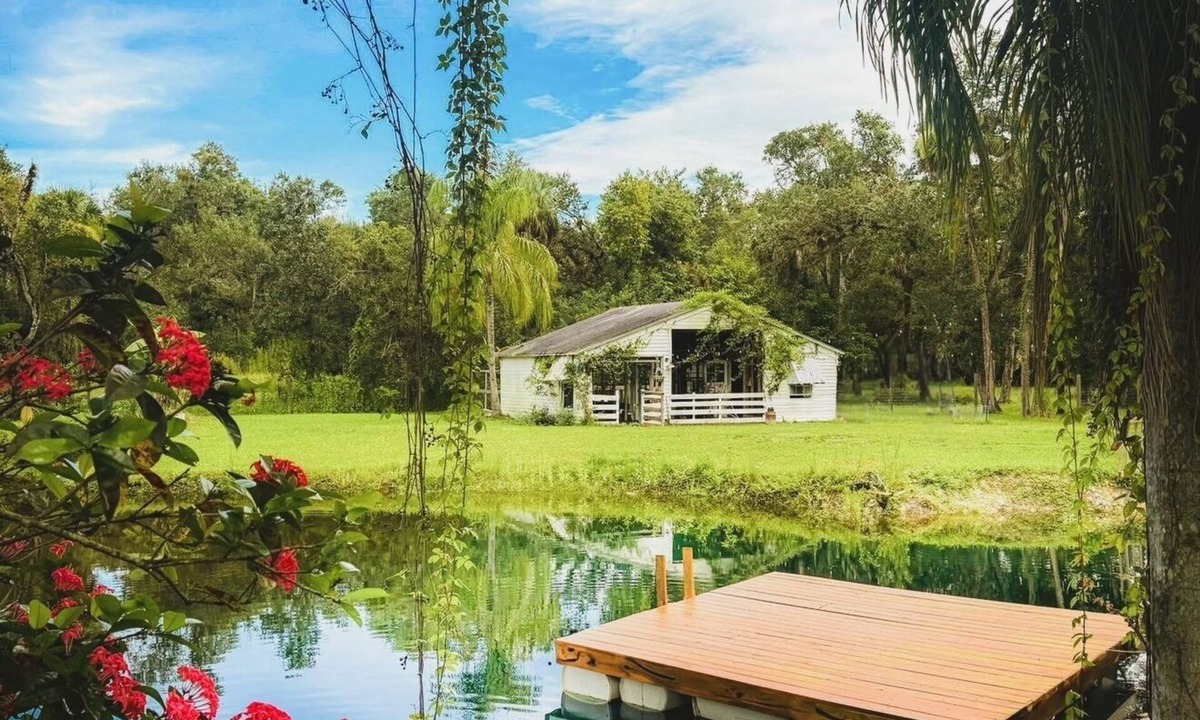 Buckingham House | Southern Vintage Farm Estate, Pool, Pond and Barn 4/3 & Event-Ready Retreat