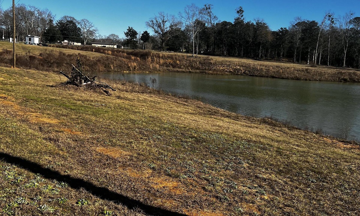 Molino House | Spacious with plenty of acres