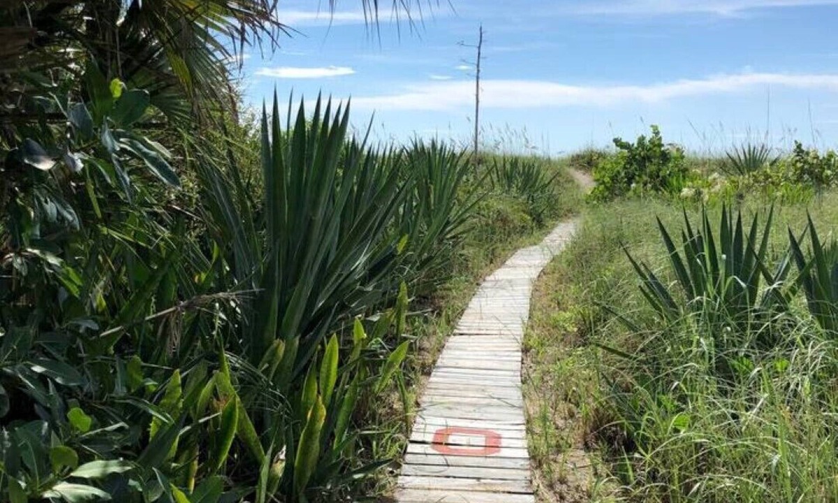 Port Canaveral House | The Iconic Mulvaine Beach House by the Pier with top viewing for space launches