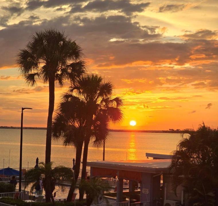 Rocky Point Apartment | This could be your view every night of your stay! Cozy, comfy remodeled condo!