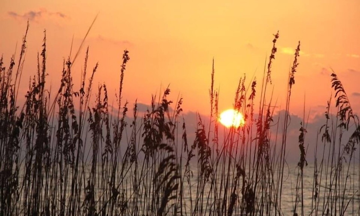 Madeira Beach Condo | Walk the long beach! Building complex on beach new pricing till yr end