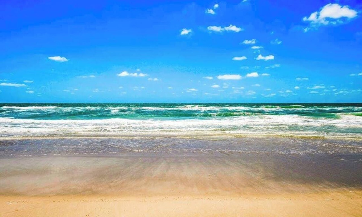 Ilexhurst Apartment | Wonderful studio near the beautiful beach
