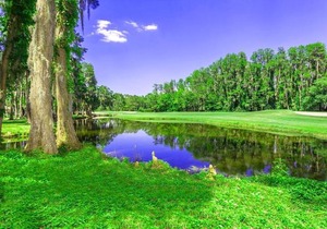 7 Room Saddlebrook Golf, Spa & Tennis Villa Suite
