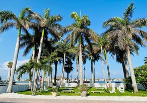 Apartments in FL, USA