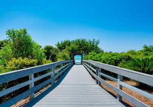 One Seagrove Place Unit 1805 condo