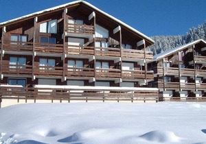 Studio cabin in Les Saisies, south facing, pets allowed in Les Saisies