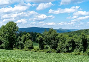 Tentrr State Park Site - Taconic State Park High Valley Rd Site A in Copake
