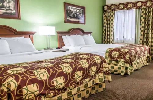 Kalamazoo Hotel | 2 Pet-Friendly Rooms w/2 Queen Beds Perfect for Group Near Local Attractions