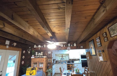 Pansey Cabin | 3-bedroom log cabin backs up to wooded lot for maximum peace and quiet!