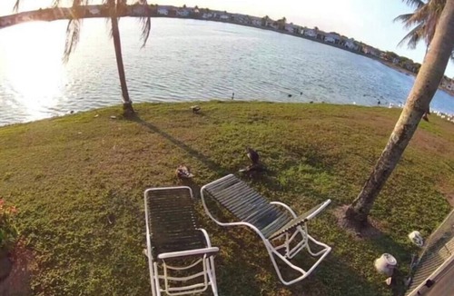 Homestead Condo | 3bedroom-Free Parking LakeView-Sunset-Balcony-Central - 24hr Security Patrol