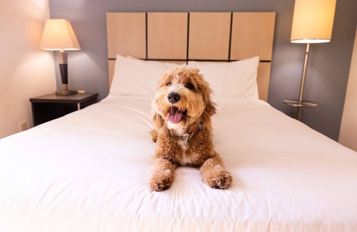 Morris Plains Hotel | 4 Units | Modern Kitchen Suites Near Morristown with Quick NYC Access