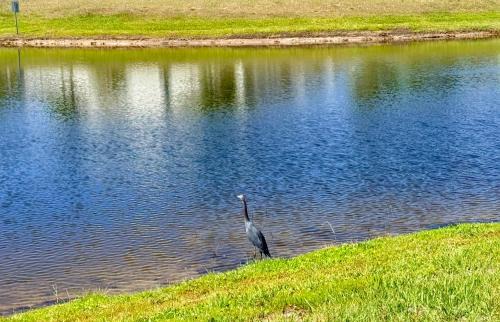 West Kissimmee House | Affordabe Suite near Diney Parks, Universal Studios, and SeaWorld