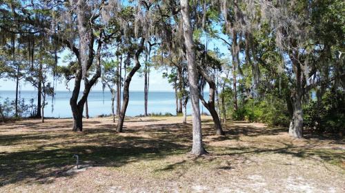 Eastpoint House | Bayfront- 2mins from Boat Launch