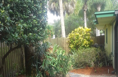 Harbor Bluffs House | Beautiful Belleair 3 Bedroom Luxury Home with Pool
