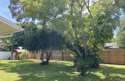 Pinellas Point House | Beautiful house to relax and have nice time