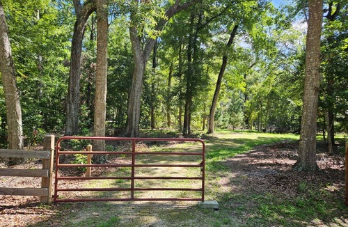 Branford RV Rental | Beautiful, wooded campsite in Branford, FL perfect for outdoor adventures