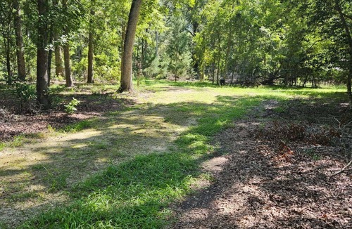 Branford RV Rental | Beautiful, wooded campsite in Branford, FL perfect for outdoor adventures