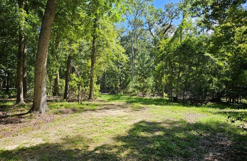 Branford RV Rental | Beautiful, wooded campsite in Branford, FL perfect for outdoor adventures