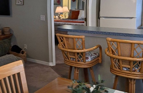 Lutz Apartment | Blissfully Bare - Third Floor, Screened Lanai, Lofted Ceiling