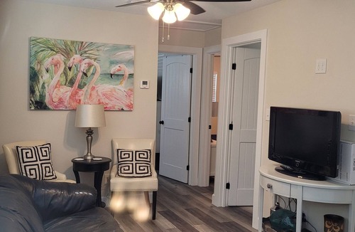 Tarpon Springs House | Brand new remodel. Adorable 2-bedroom 1 bath house in downtown Tarpon Springs