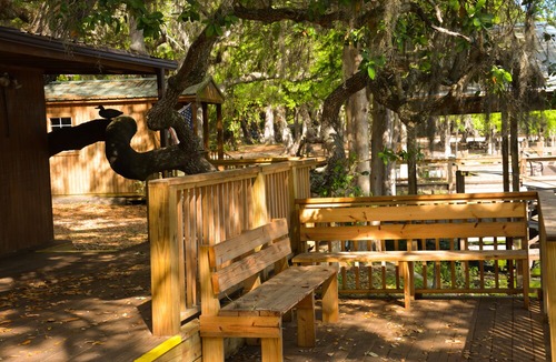 Fedhaven Hotel | Camp Mack, a Guy Harvey Lodge, Marina & RV Resort