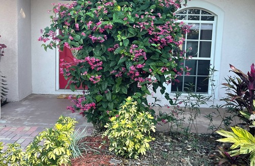 Greater Northdale House | Charming 2-bedroom house in welcoming Tampa with AC