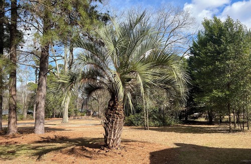 Bath House | Charming 3-bedroom house in peaceful North Augusta with AC